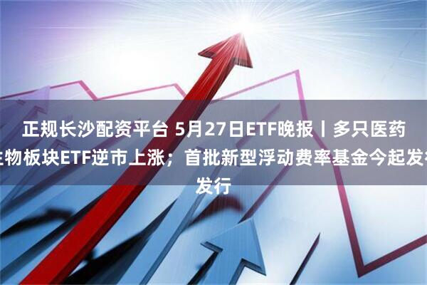 正规长沙配资平台 5月27日ETF晚报丨多只医药生物板块ETF逆市上涨；首批新型浮动费率基金今起发行